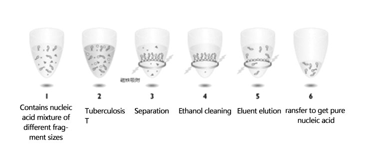 The general working principle of nucleic acid purification kit