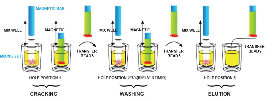 Working principle of nucleic acid extraction kit