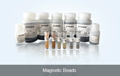 Magnetic Beads